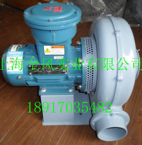 耐高溫防爆鼓風(fēng)機(jī) 工業(yè)安全與高溫環(huán)境作業(yè)的守護(hù)者